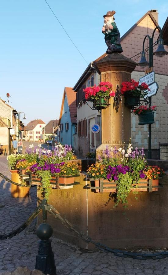 La Hasel Apartamento Oberhaslach Exterior foto